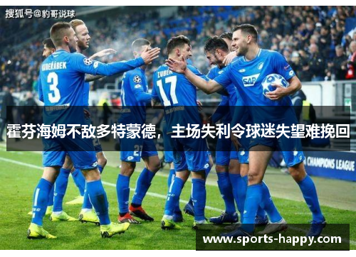 霍芬海姆不敌多特蒙德，主场失利令球迷失望难挽回